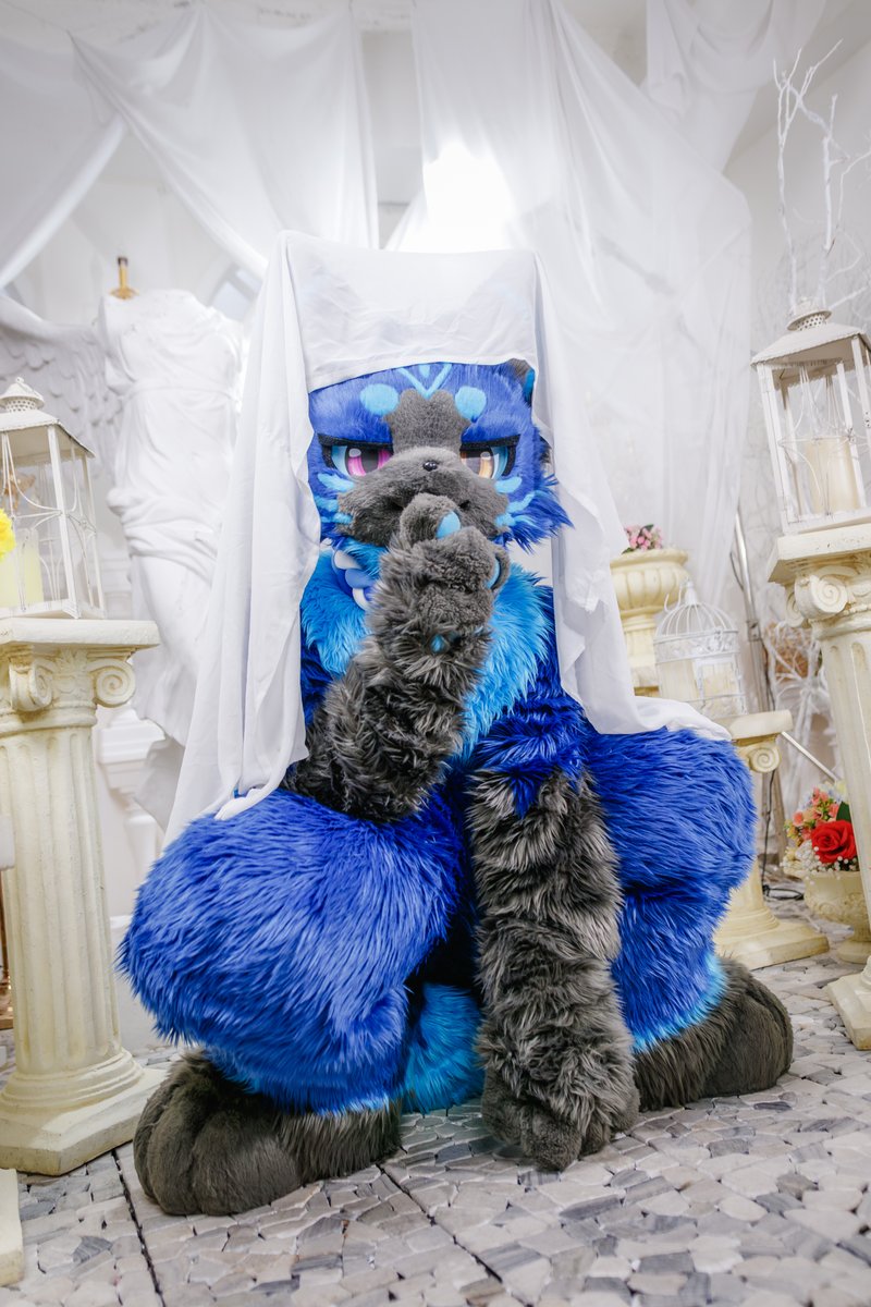 MochiFox93's tweet photo. 쉿! 그 사랑스러운 비밀은 제가 잘 간직할게요!
Shh! I'll keep your lovely secret!
📸@rapid_renard #FursuitEveryday https://t.co/eLkRVpK33A