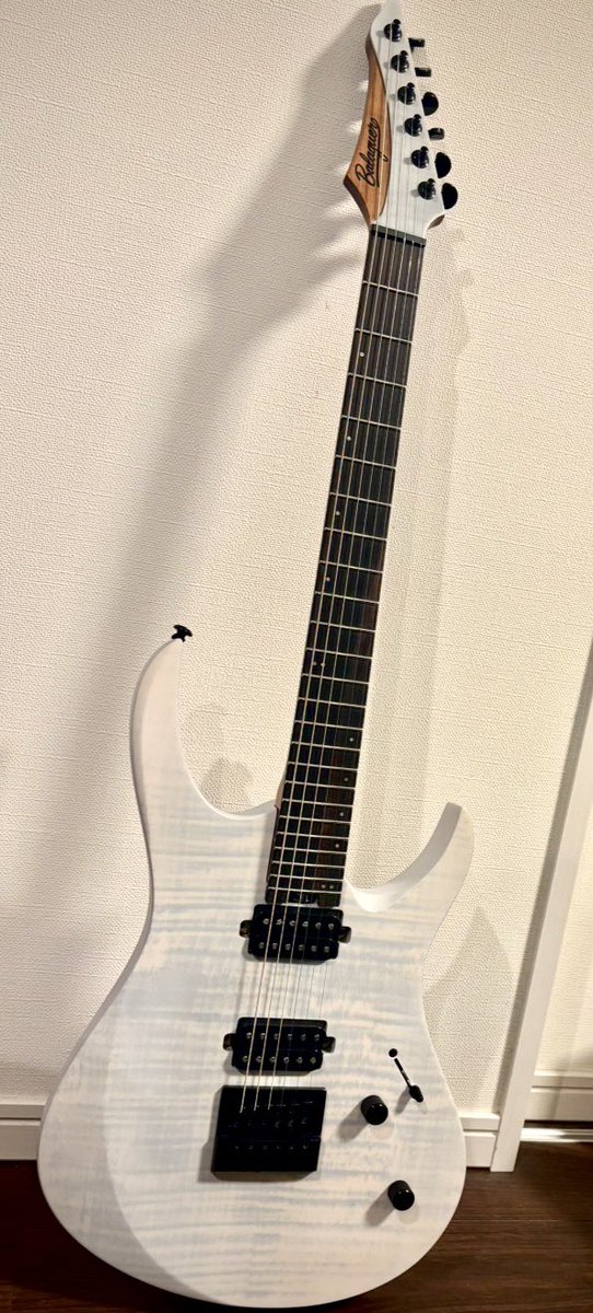 ギター買った！！めちゃめちゃ嬉しい Balaguer Guitars Diablo