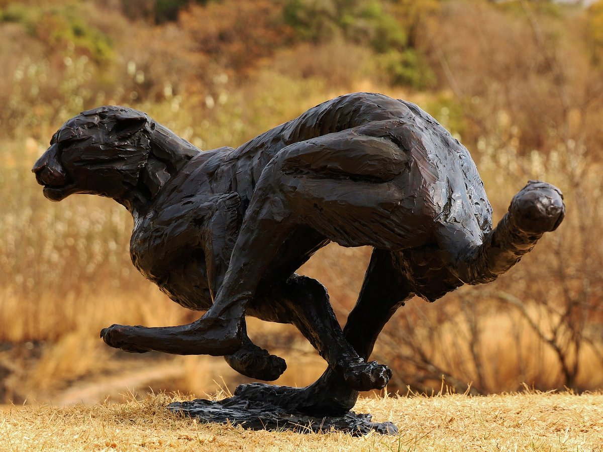BrandonBronze's tweet photo. This life-size bronze cheetah captures the moment before the burst: not the reach, but the coil.

Cheetah (Life-size)

Dimensions: 50H x 55W x 166L cm
Material: Bronze
Weight: 75kg

#BronzeSculpture #WildlifeArt #Cheetah #SouthAfricanArt #FineArt https://t.co/xQHUHp1SUe