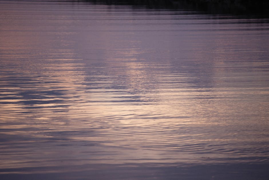 YolandaDecf0's tweet photo. Andrew Ethan Charlotte great company Coffee music and kimberlie mcnickle🍁 https://t.co/FAlHupJsZq