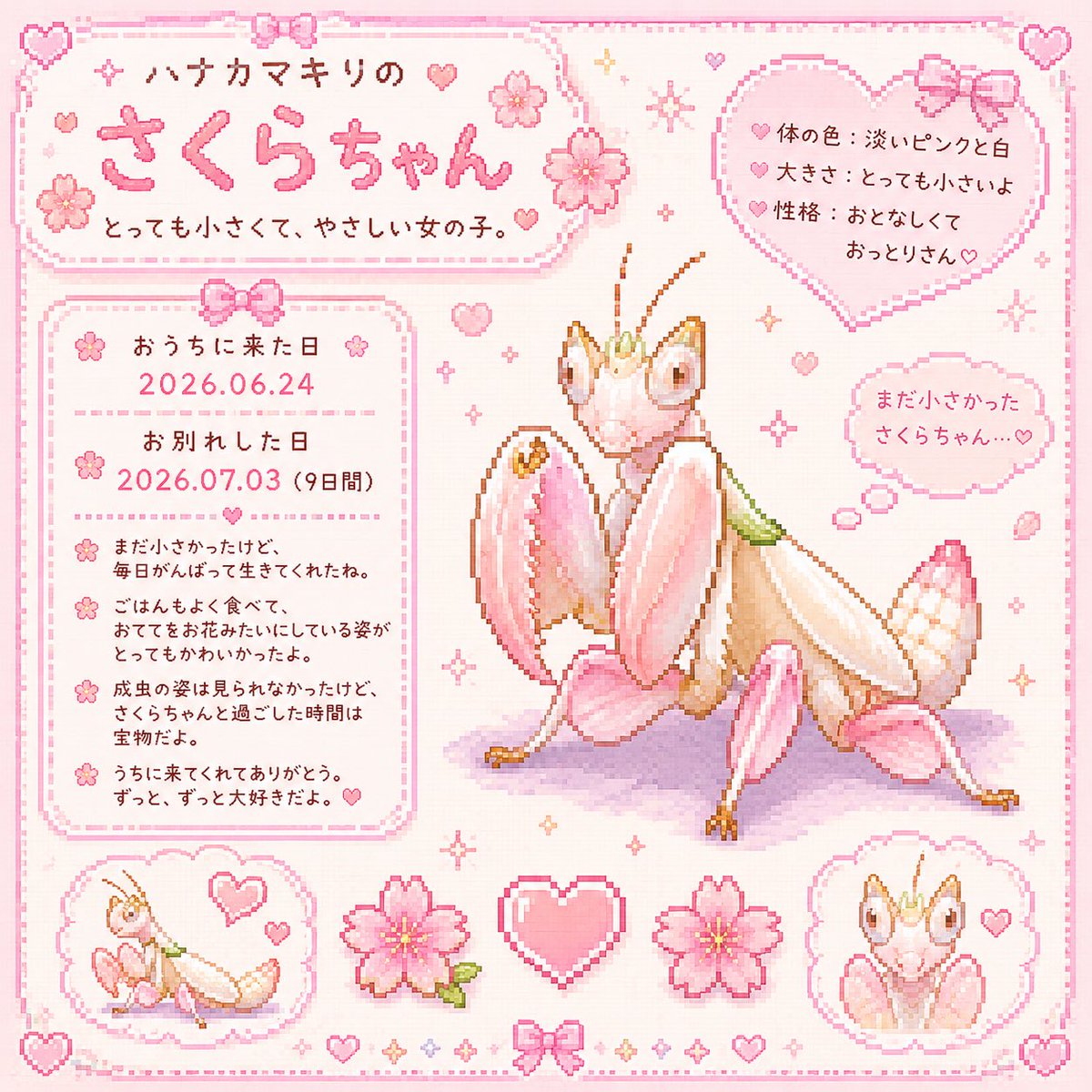 ブヒッᒼᑋªⁿ♥プロフィール見てね♥ページ さくらちゃんのプロフィールチャッピーが作ってくれた🌸