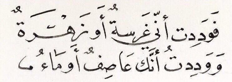 lavmnrr's tweet photo. ولقد ذكرتُكِ بعد يأسٍ قاتلٍ
في ضحوةٍ كثرت بها الأنواءُ https://t.co/cucbNzR8v0