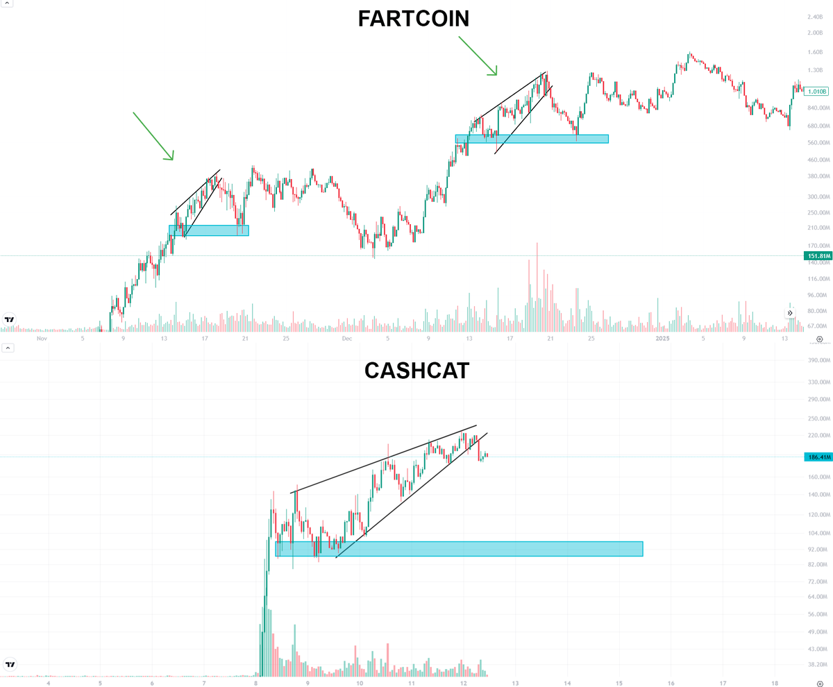 Degentleman123's tweet photo. Watching cash-cat:native.

If it goes to billions, there will be many drawdowns along the way.

For example, $FARTCOIN had more than 20 on its way up, including 3 drops of 70–80%.

Interesting to see how it handles corrections and how the rest of the RH memes handle them. https://t.co/ebrWAHj3HR