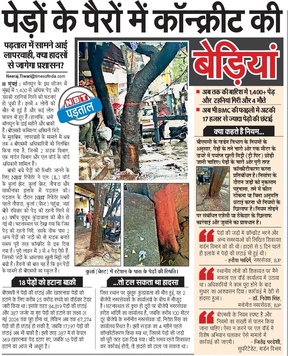 NBTMumbai's tweet photo. @NBTMumbai की पड़ताल में सामने आई बड़ी लापरवाही। मुंबई में अब तक 1,400+ पेड़ और टहनियां गिर चुकी हैं, 4 लोगों की मौत हो गई। कई जगह पेड़ों की जड़ों को कंक्रीट से पूरी तरह ढक दिया गया है, जबकि BMC के नियम इसे प्रतिबंधित करते हैं। #BMC #Mumbai @mybmc @mybmcGarden @CMOMaharashtra https://t.co/UxzwKdXSWP