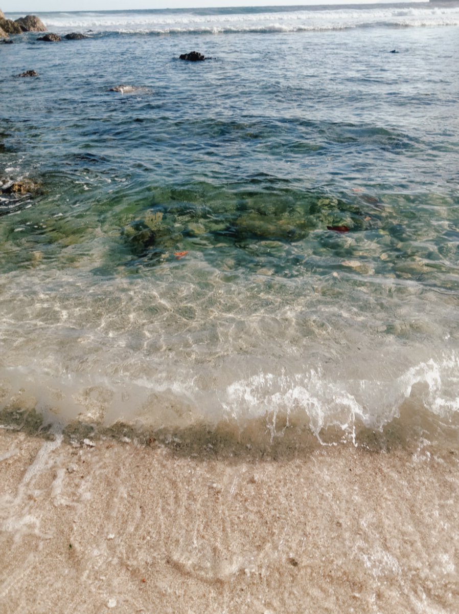 nandanap_'s tweet photo. Akhirnyaaa main ke PANTAI 🍃🌊

MasyaAllah, bener² secantik itu pantainyaa. Pasirnya putih, airnya sangat sangat sangat jernih, dan bisa main² dengan kelomang jugaaa. 😍

Sayangnya pas kesini ombaknya gede, jadi ga bisa main air dengan leluasa. Huhu 🥲 https://t.co/l6bmEQt3QZ