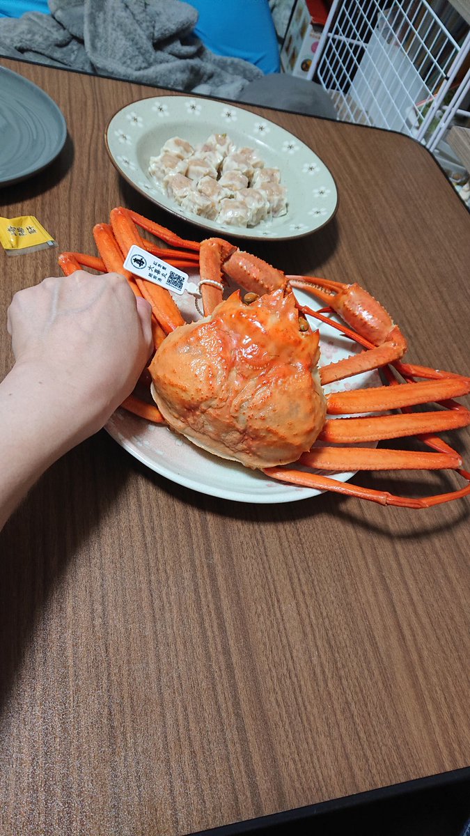 kanimi_REALITY's tweet photo. この間共食いしました
甲羅酒までして楽しみましたまる https://t.co/wTSMwinwBQ