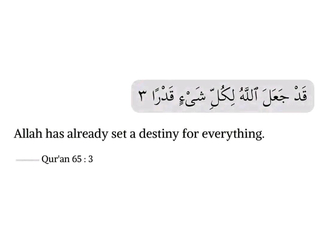 WondersOfQuran's tweet photo. "Allah has already set a destiny for everything." (Quran 65:3) https://t.co/AIhJuBOnkI