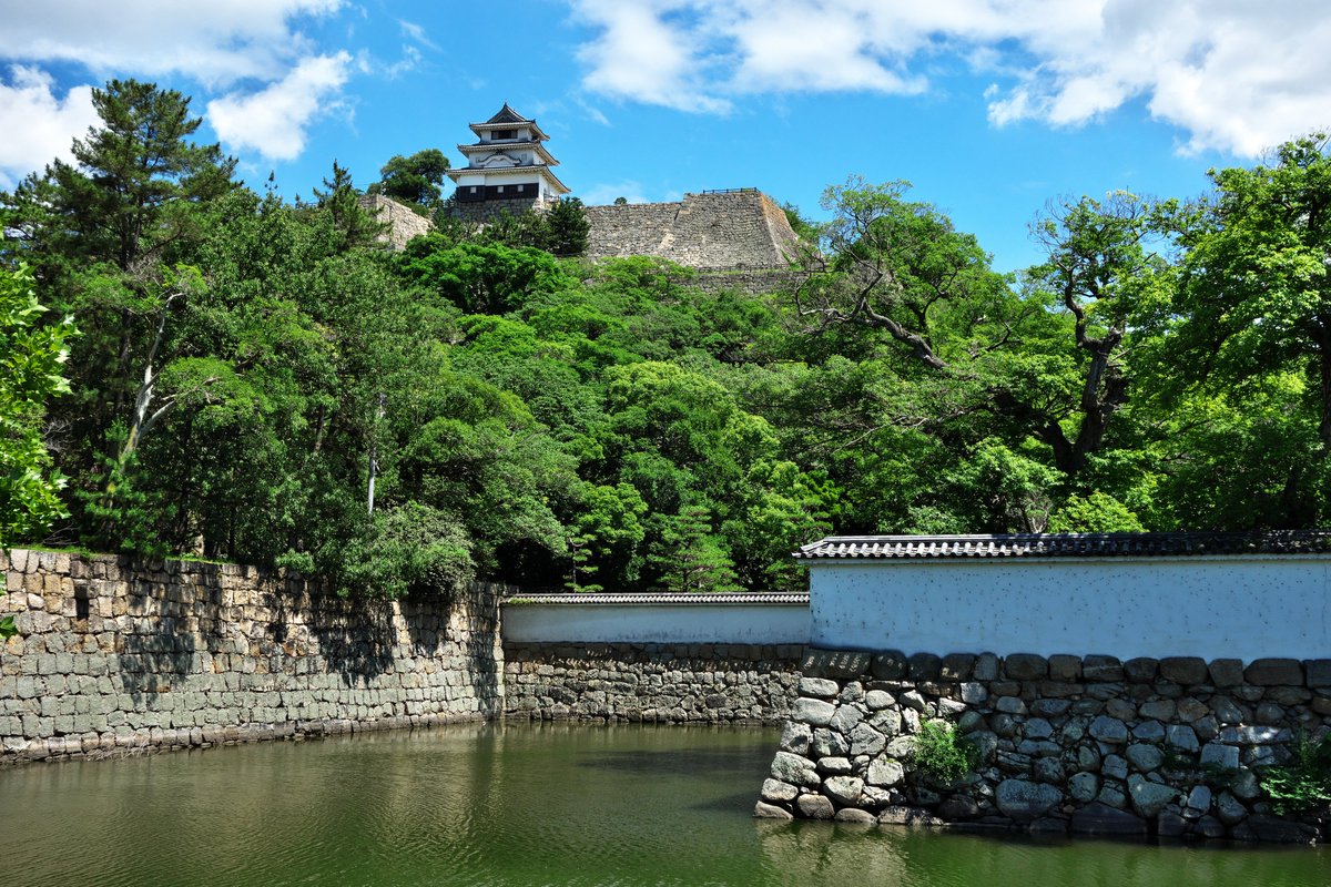 g2455a's tweet photo. @Chashibu_nico2 丸亀城良いですよね!
何層にも積み重ねられた石垣に見惚れました https://t.co/aurNeJ6YH5