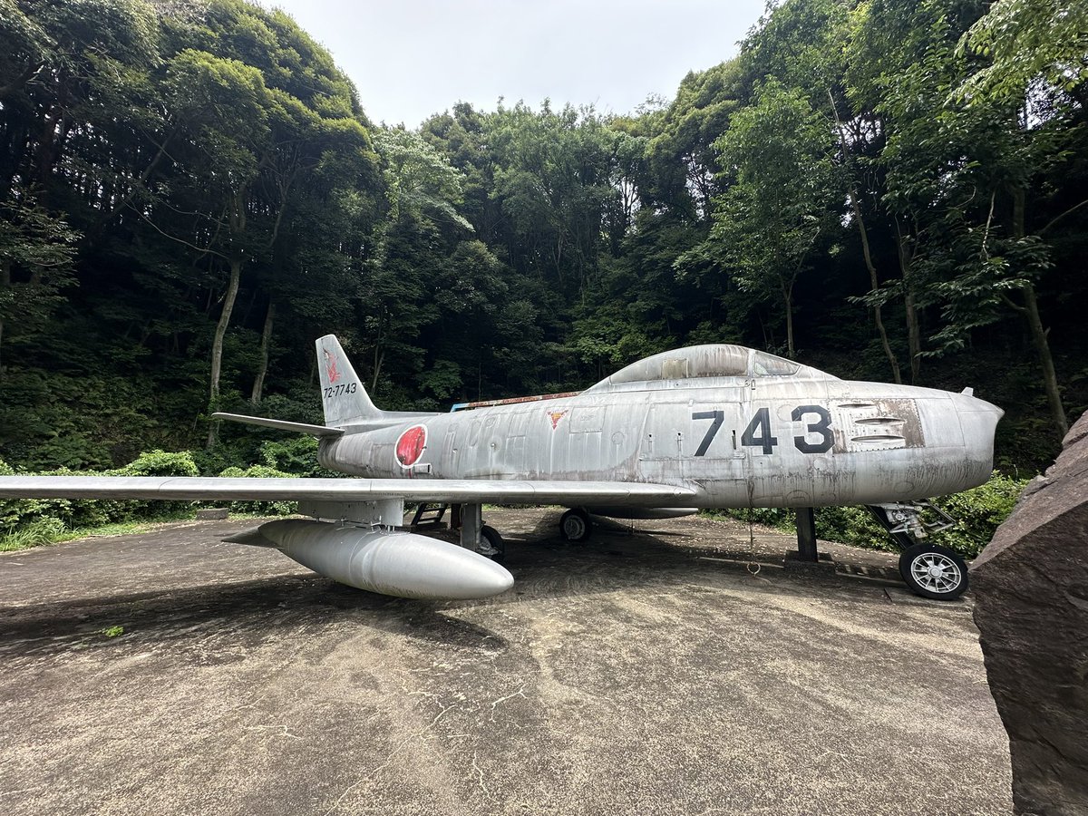 LongGoodBye99's tweet photo. 某所にて
まだ飛びたいと言ってるような雰囲気だった https://t.co/uH60wf8z8b