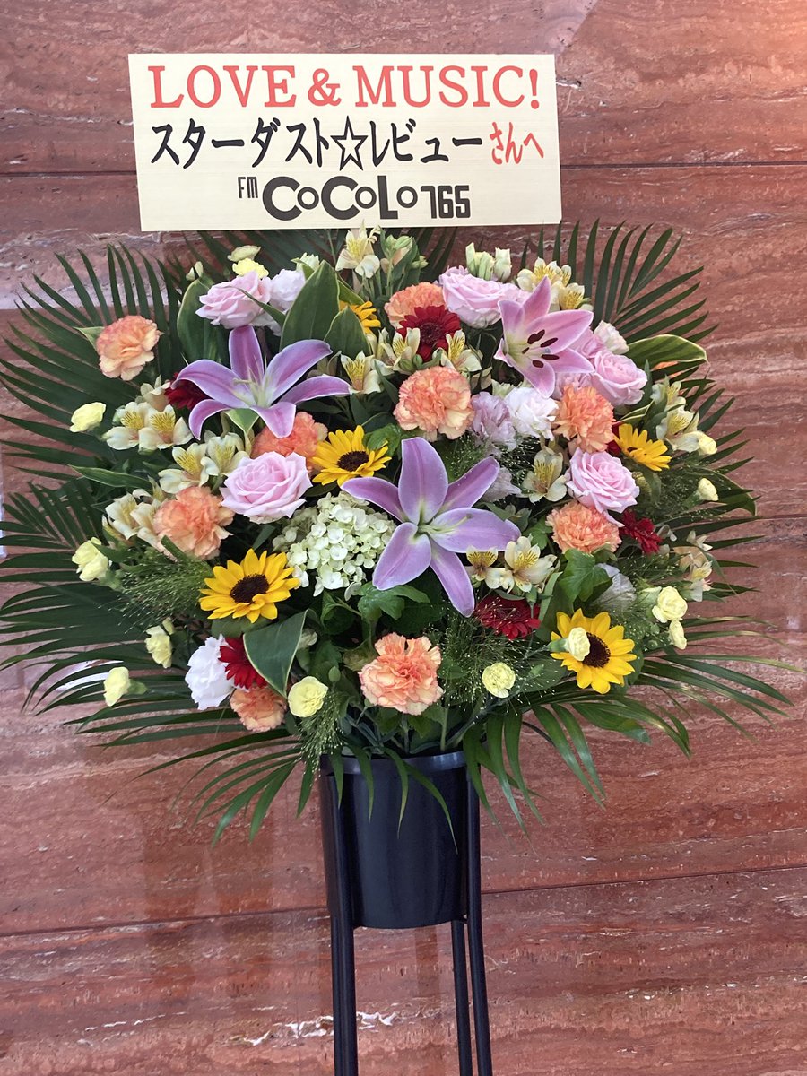 silverringheart's tweet photo. 初のアコースティック
楽しかった⭐️
私のヒーローはサザエさんではありません🤪
9月の野外には体調を完璧にして楽しむぞ🎸 https://t.co/mDoF5oBkI4