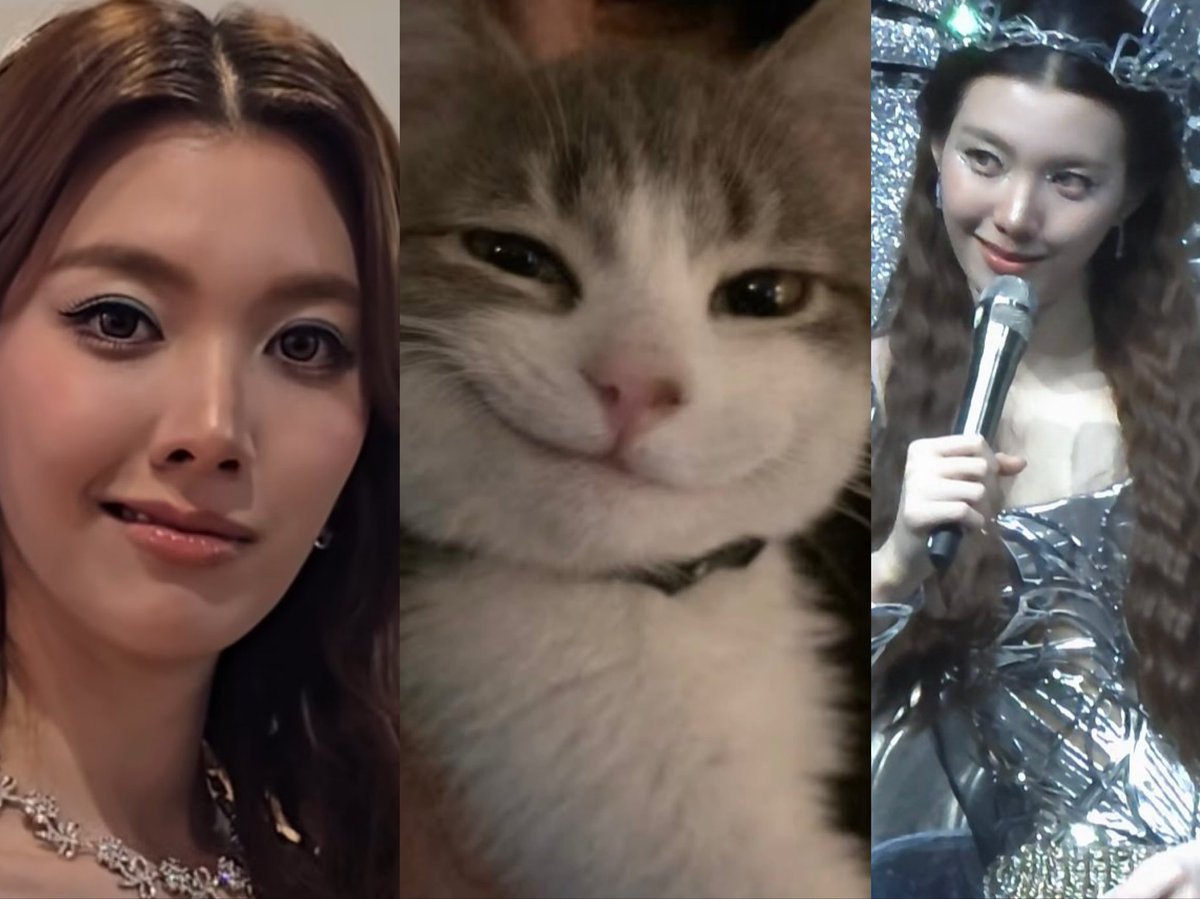 LLLorm's tweet photo. I see no difference https://t.co/34qgvJeRpF