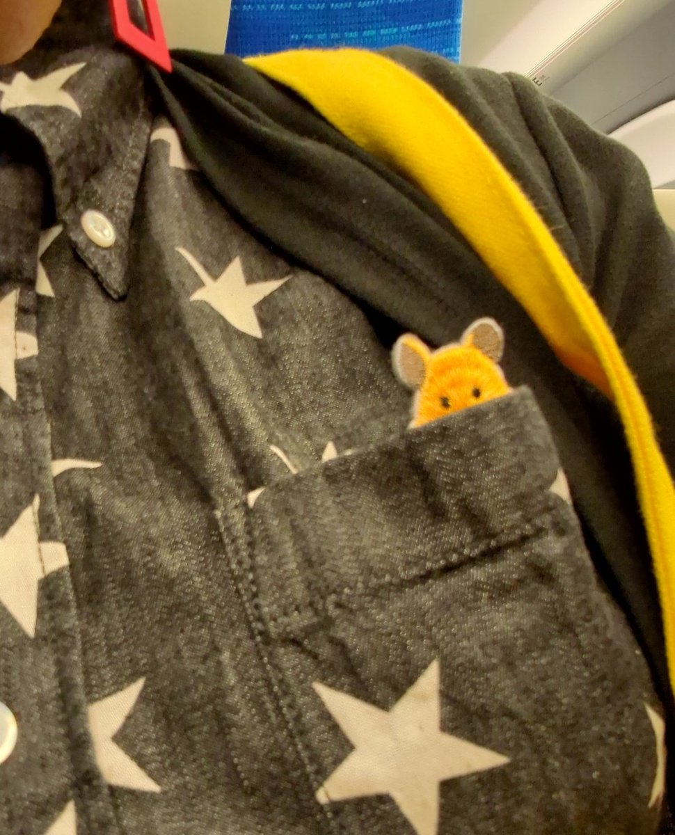 Rinpygmalion's tweet photo. そんな大層な人間ではないですが、講演なんぞをしてきました。逆に学生さんから元気をもらいました🏵️楽しかったです。 https://t.co/EX3j7wC8Xr