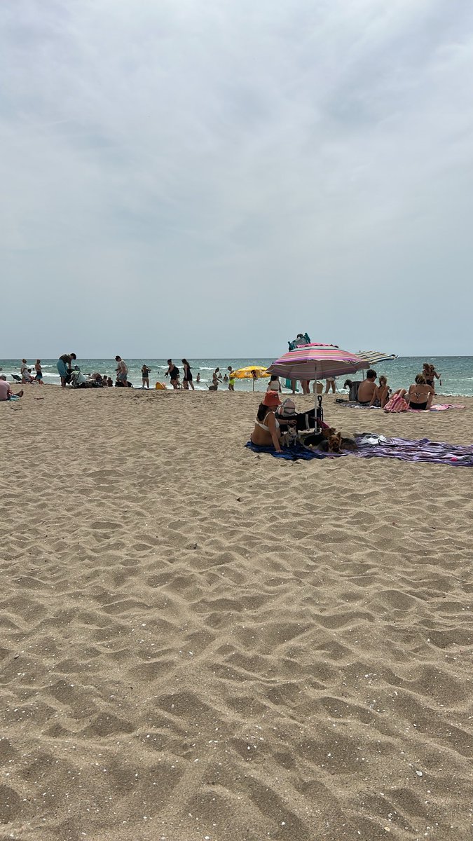 SergioGaTorres's tweet photo. Alcalde @Kmarmovi, mis felicitaciones por la playa canina de #elVendrell. He visitado muchas y sé de lo que hablo(redacté la ley de protección animal estatal). El año que viene, un poco más grande. Saludos! https://t.co/fOs3ulnhnX