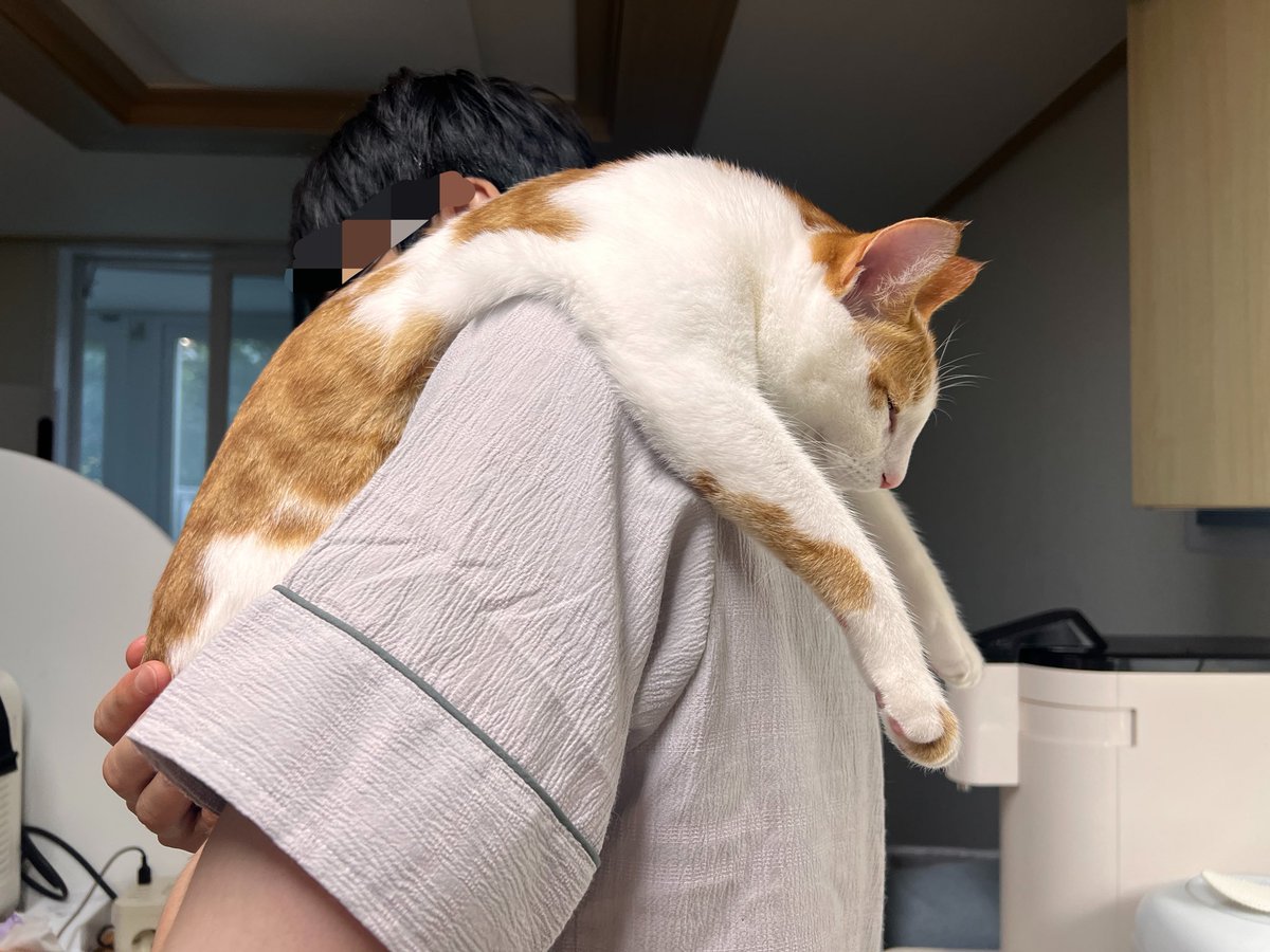 kogamz's tweet photo. 육묘…
내려가래도 안가서 번갈아가며 들쳐매고 재우는중 https://t.co/9zRg2XN6E7