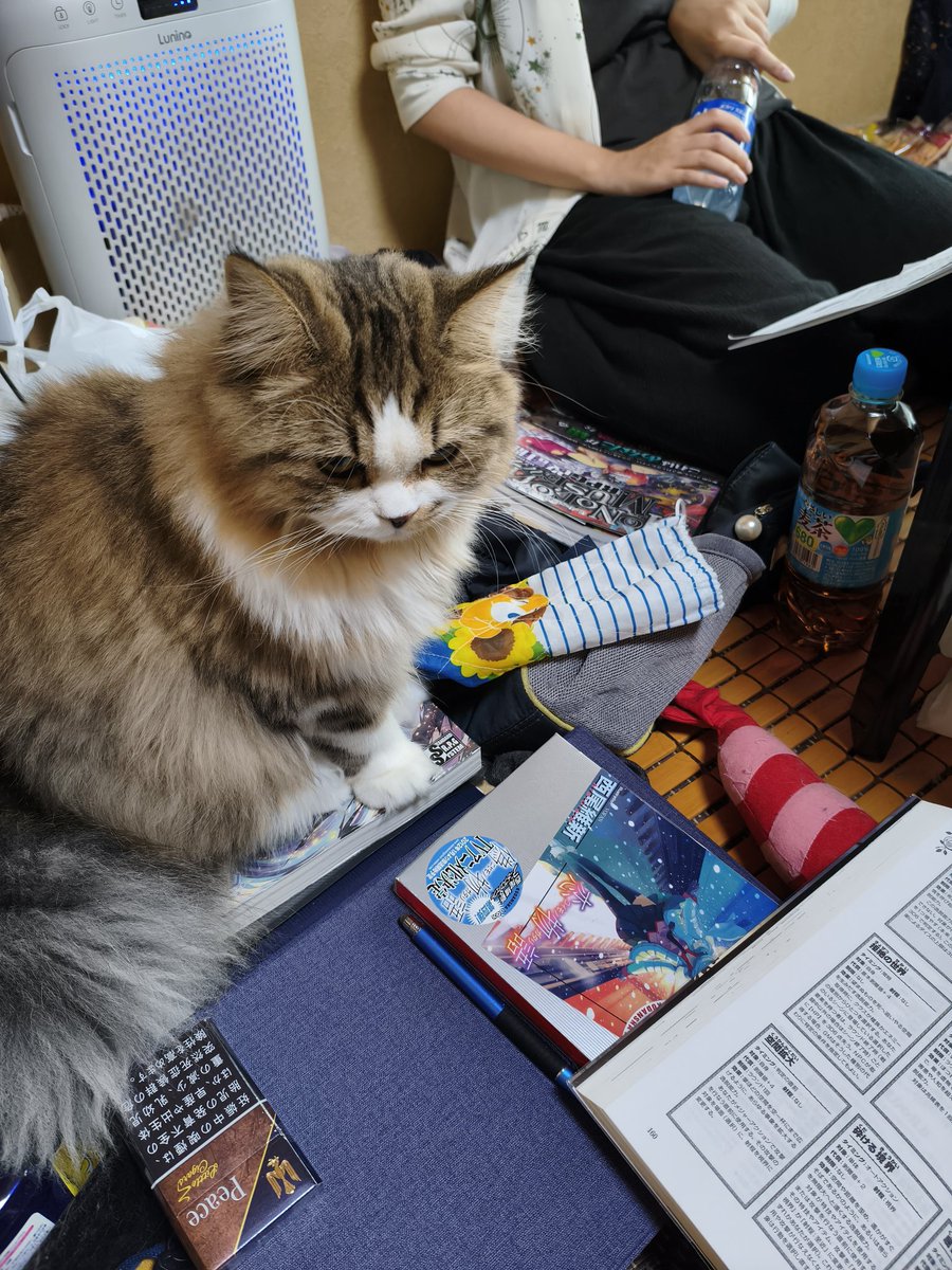 GS12221852's tweet photo. ぴりちゃんはTRPGをする猫です
モノトーンミュージアムがお気に入り

#猫好きさんと繋がりたい
#猫のいるセッション
#TRPG https://t.co/Z2jLBdpnTy