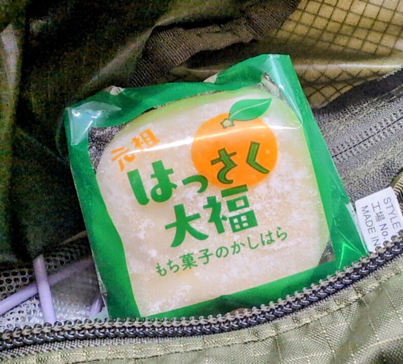 mmk_kkc's tweet photo. 渋谷駅の井の頭線改札の手前で、はっさく大福売ってた！まだたくさんあったのでみんなぜひ買ってー！ https://t.co/CAcrPLTxtX