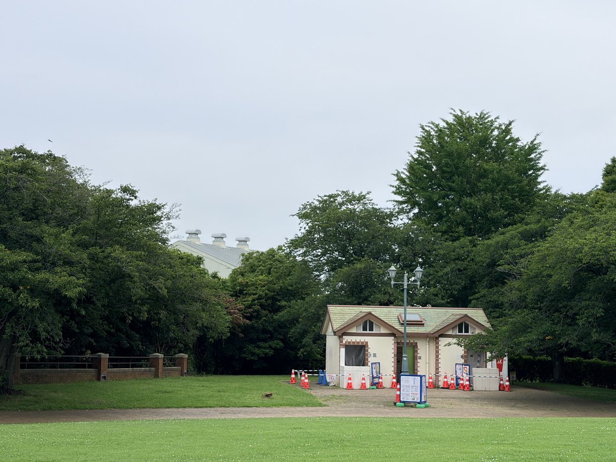 forest2035_m's tweet photo. #根岸住宅地区 の土壌から
「鉛 20,000mg/kg
（基準150）」＝133倍。
土の2%が鉛という異常濃度。
子どもの急性中毒は数gで危険。
#横浜市 の公式資料に書かれた事実。
通常の都市では絶対に出ないレベルの汚染。
いや「事故レベル」。

#山中市長 #根岸森林公園 #環境法
#環境アセス #環境影響評価 https://t.co/CE9crkqAgt