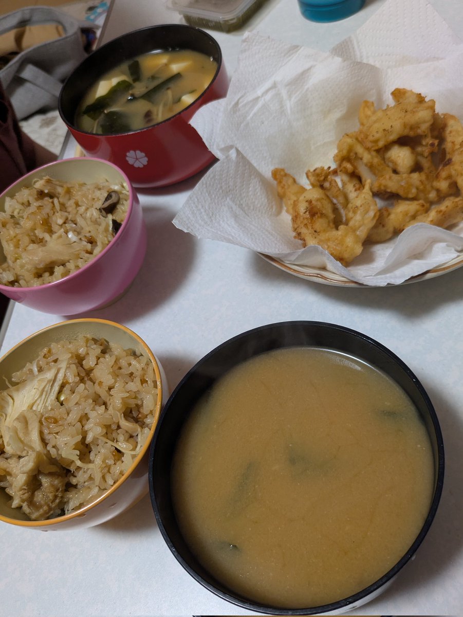 Tj13681368's tweet photo. 鶏軟骨唐揚げと炊き込みご飯の晩御飯 https://t.co/EatJwcGcYZ