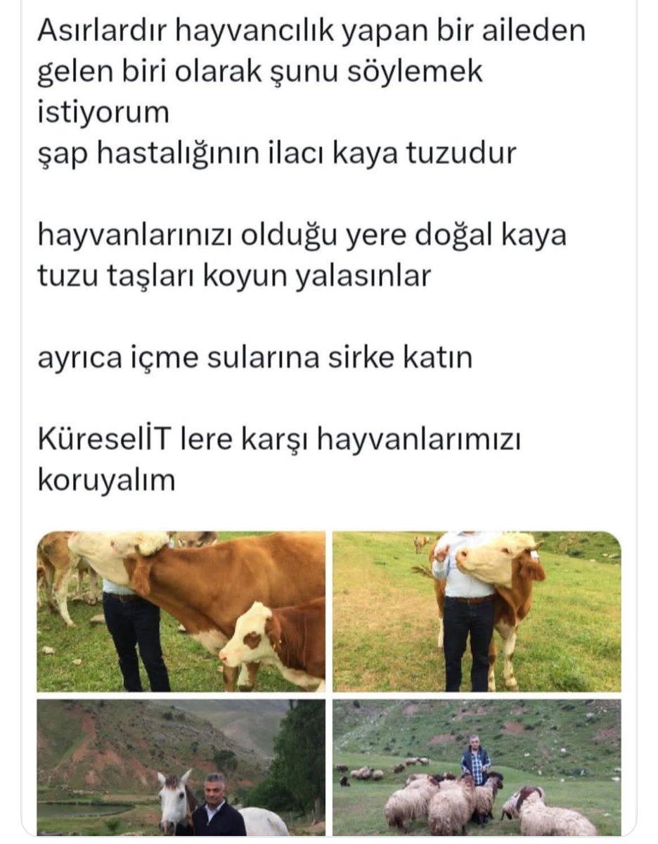 Recepsamuncu1's tweet photo. KADİM BİLGİLERİMİZDEN,,

Hayvanlarınızı aşıdan koruyun, eskilerin yaptığı gibi kaya tuzu yalatın !
Gönül Ayyıldız https://t.co/zUu2dbZgAI