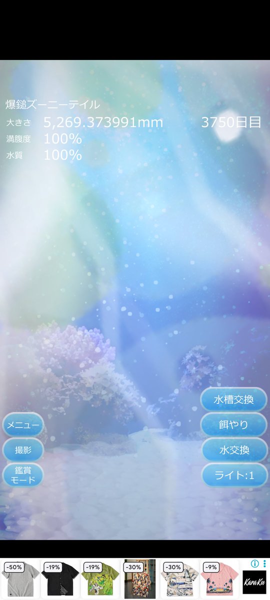 218shun's tweet photo. 癒しのクラゲ育成ゲーム3750日目 https://t.co/CKJTMsUBkn