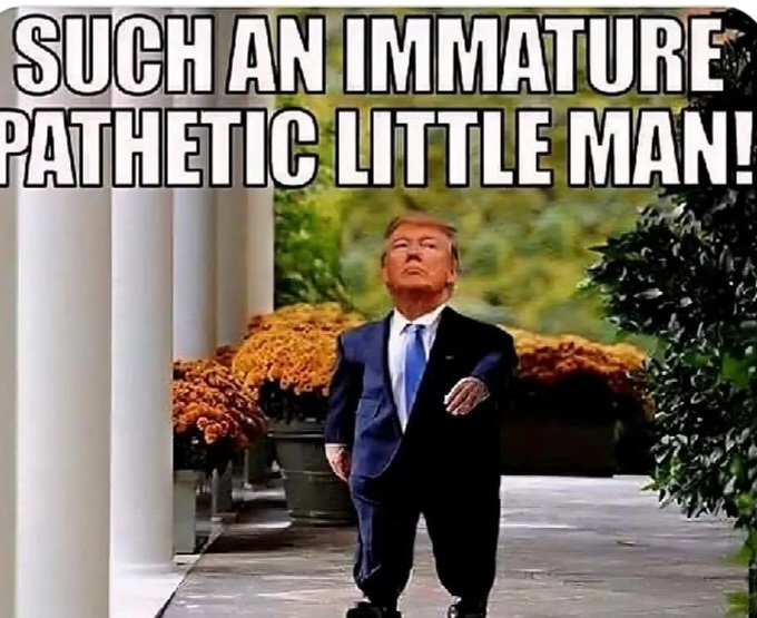 HearnBob's tweet photo. @UVharvey @BenjAlvarez1 @jaketapper @weijia STFU https://t.co/WIkhr0zS2Y