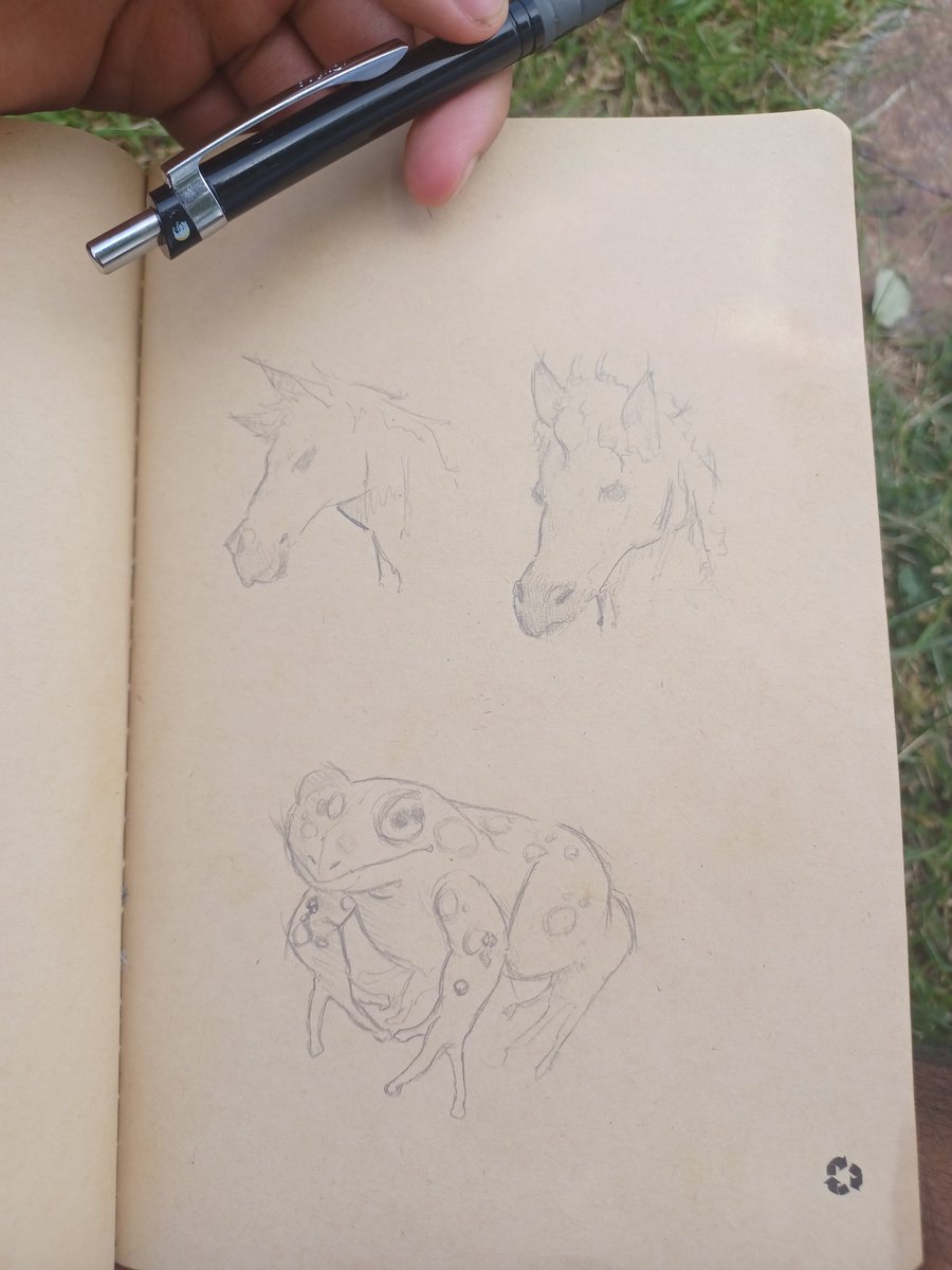 iborg17's tweet photo. Post hike doodles https://t.co/G9GDJd64s7