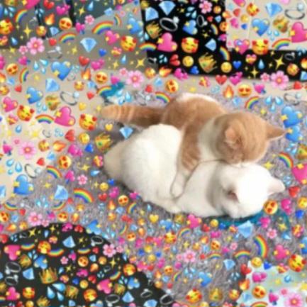 zey⁷ is seeing bts tweet media