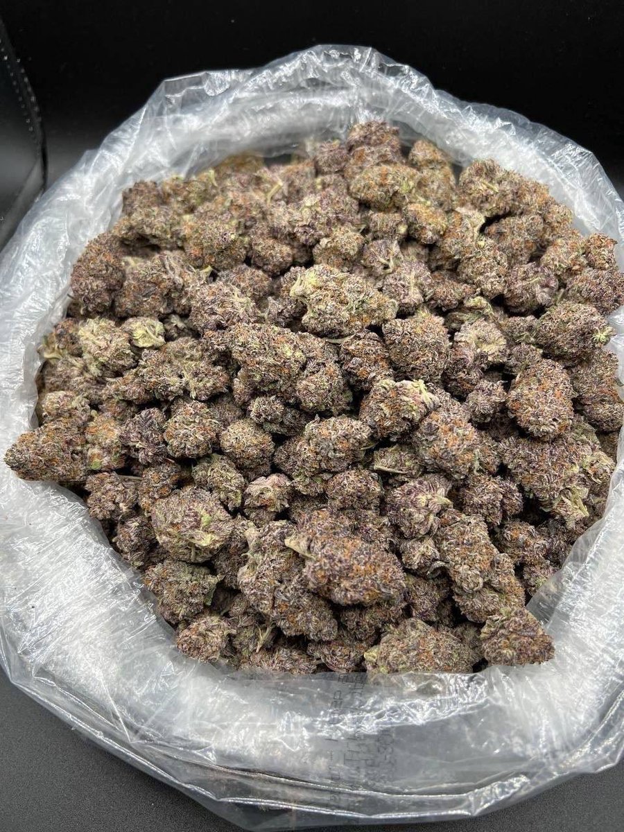 thezaplug2026's tweet photo. 🔥🌿🍃 Gas loud exotic zaza weed plug shrooms 🍄 daily drops New Orleans 504 Birmingham 205 DM NOW 📍👇 Tag buyer #NewOrleans #Birmingham #SouthEasternUSA420 https://t.co/nujWkIFEoN