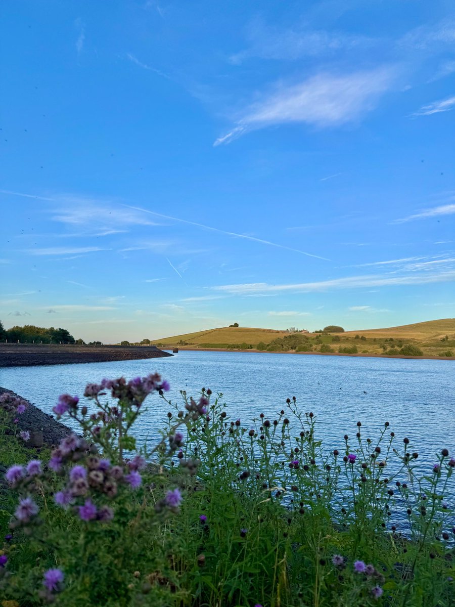 abdalla8338's tweet photo. Saturday walk around Redmires Reservoirs.

#redmiresreservoir #redmires #theoutdoorcity #yorkshirewater https://t.co/Fls9JM7trc