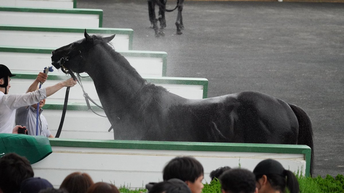 fairy_tale99's tweet photo. 26.07.12.　福島競馬
１１レース　七夕賞・GⅢ
アスクナイスショーｘ田辺裕信騎手が、２番手から４コーナーで一気に抜け出し、２馬身半差で勝利。
騎手は、福島競馬の重賞で、現役最多７勝となりました。 https://t.co/6OtUNZPifU