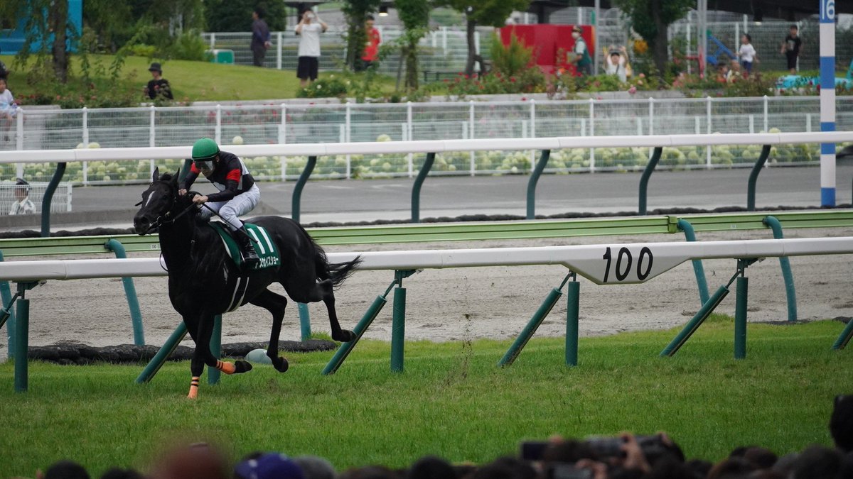 fairy_tale99's tweet photo. 26.07.12.　福島競馬
１１レース　七夕賞・GⅢ
アスクナイスショーｘ田辺裕信騎手が、２番手から４コーナーで一気に抜け出し、２馬身半差で勝利。
騎手は、福島競馬の重賞で、現役最多７勝となりました。 https://t.co/6OtUNZPifU