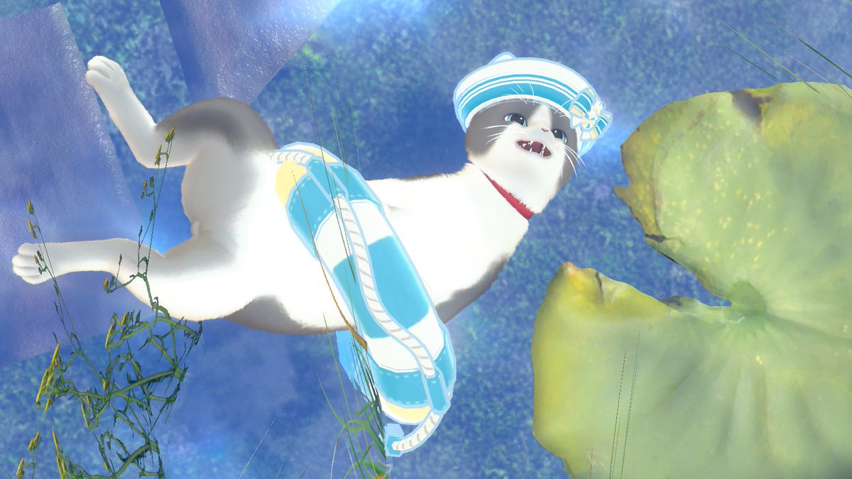 miteikamo11's tweet photo. ⭐️ぷかぷか夏日和対応追加⭐
今日から「にゃにゃまる」にもお着替えしてもらいました～アザラシのあかちゃん＆patotoと同じく、7/24（金）までお迎え記念セールを行いますので、この期間にぜひお迎えください～
#VRChat ＃にゃにゃまる3D https://t.co/6Mkj4Eizil