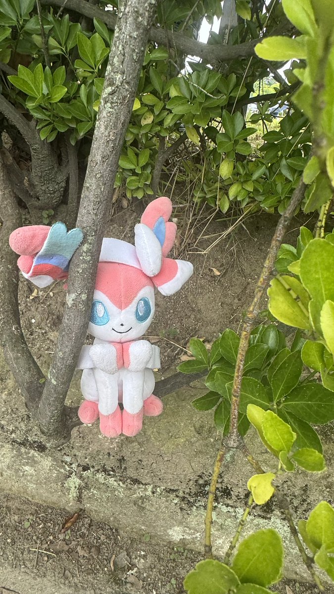 Na2monGo's tweet photo. 娘のぬい活🧸

4歳にしては写真撮るの上手🥹🎀ིྀ https://t.co/FeErZbDskO