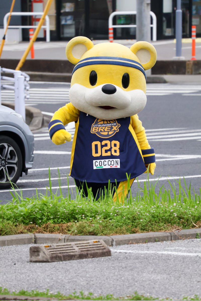meg728_jh125's tweet photo. 野生のクマ🐻 https://t.co/kjh1u9wFG7
