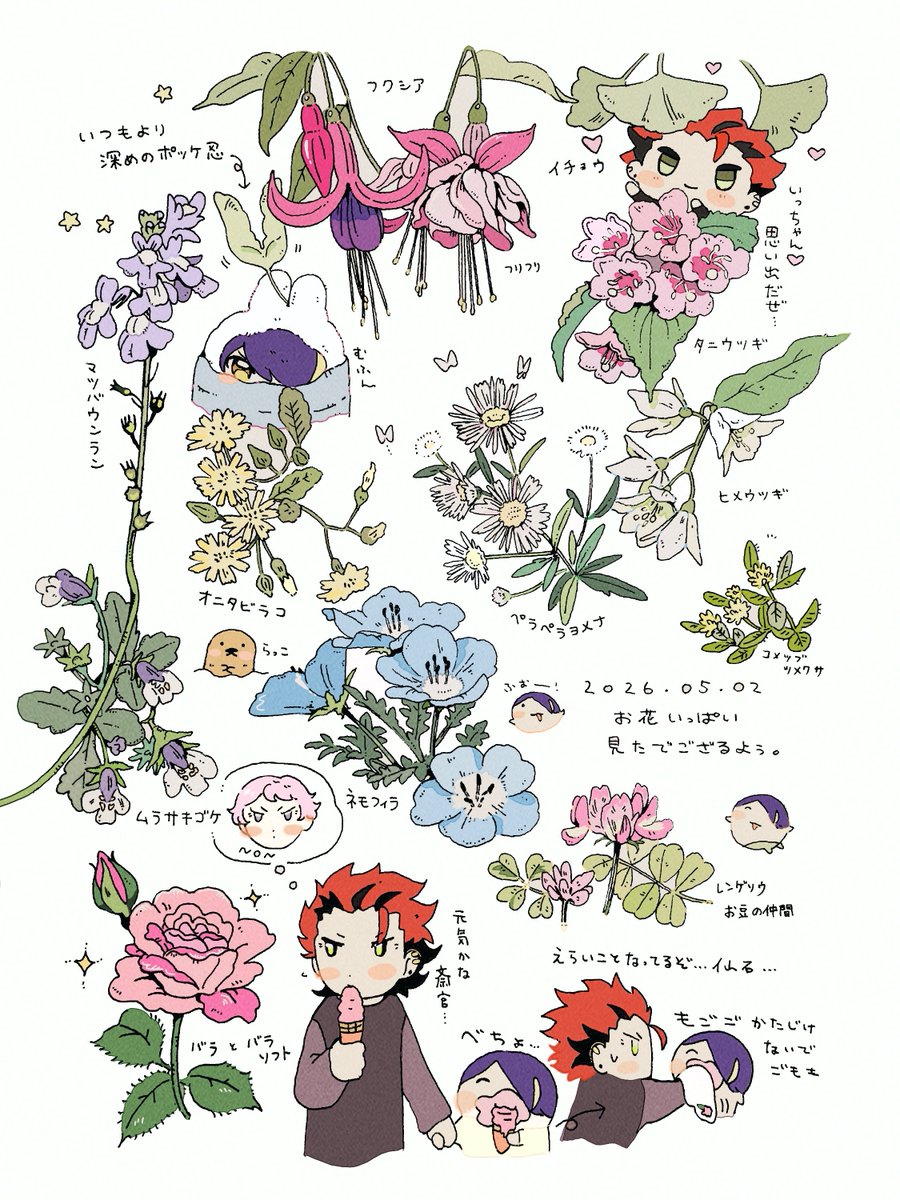 namako_0o's tweet photo. 植物たち(🥷と🐉🥐もいるよ♡) https://t.co/XfPsxllkYC
