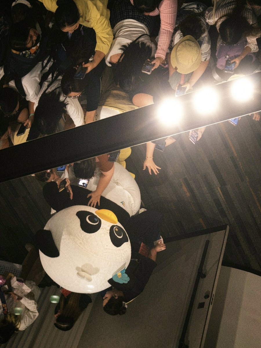 _mymina's tweet photo. ชอบรูปนี้ที่ถ่ายมามาก ตอนเช้าวันแรกคนเยอะมากๆจนมองไม่เห็นน้องเลย แต่จังหวะนั้นเงยหน้าขึ้นไปด้านบนเป็นกระจกสะท้อนพอดี เป็ดด้าตัวนี้เป็นที่รักของน้องยายมากๆเลยนี่หน่า ♥️ https://t.co/ej61cHzlwd