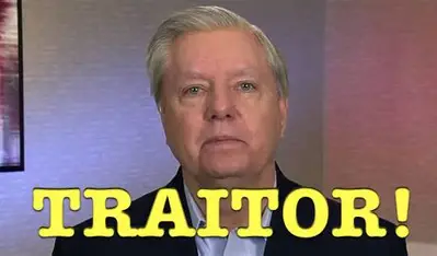NationalRogue's tweet photo. Lindsay Graham is a TRAITOR to America! https://t.co/CPjSK2w9pI