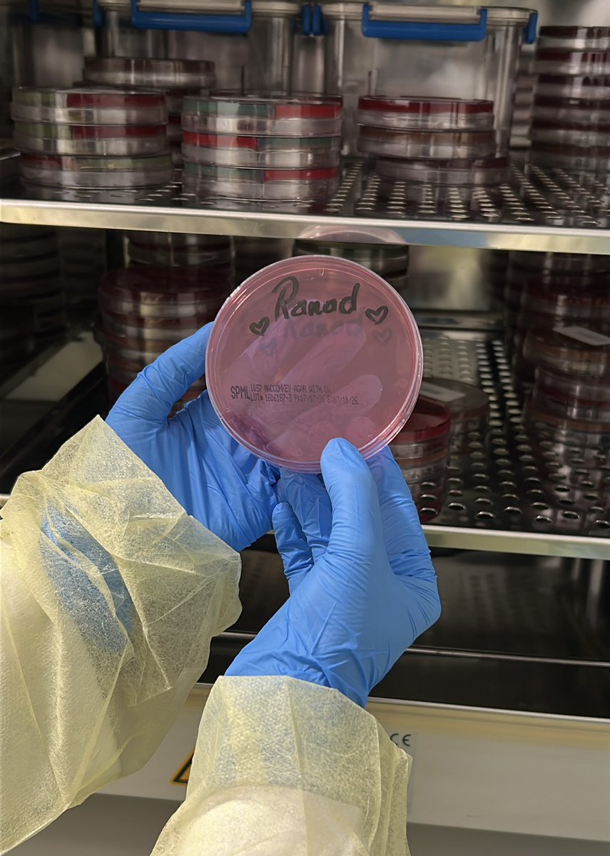 RanadMls's tweet photo. Starting my second rotation today- Microbiology 🦠

Every lab has its own way of making you think differently🌟🔬
Looking forward to building new skills and seeing microbiology from a whole new perspective https://t.co/IY2qPXW9uJ