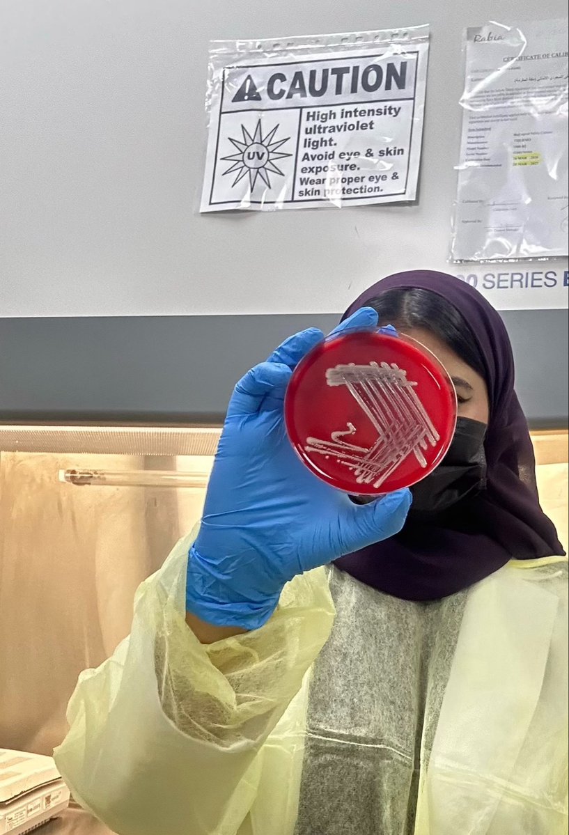 RanadMls's tweet photo. Starting my second rotation today- Microbiology 🦠

Every lab has its own way of making you think differently🌟🔬
Looking forward to building new skills and seeing microbiology from a whole new perspective https://t.co/IY2qPXW9uJ
