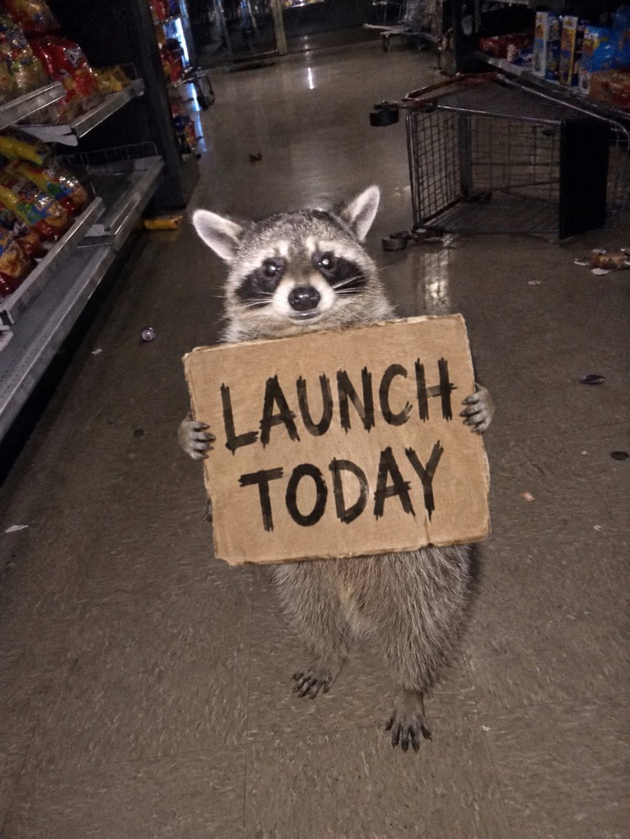 MignightBandit's tweet photo. @traderInosuke $BANDIT is launching TODAYY. https://t.co/TL2CB6nEwV