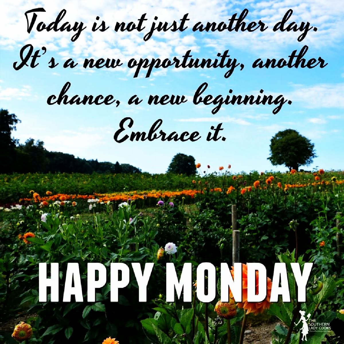 SouthLadyCooks's tweet photo. https://t.co/WVs1WVUGZa