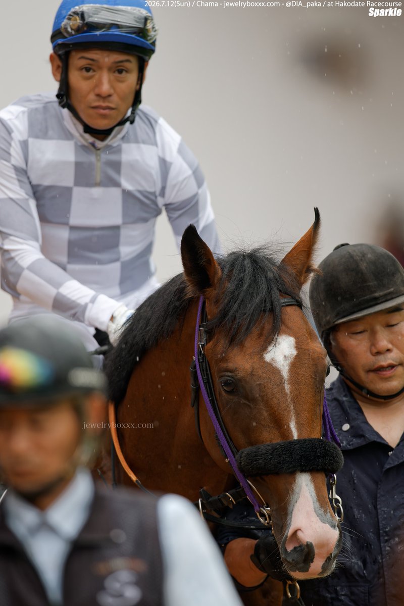 DIA_paka's tweet photo. 20260712 函館5R
2歳新馬 メイクデビュー函館

デアグランツ 🥇

 #デアグランツ
 #サトノダイヤモンド産駒
 #浜中俊 騎手
 #インゼルTC

－－－

いっぱい！載せます！
出資者の皆様、おたおめです🎉

雨降る函館での念願の逢瀬でした。 https://t.co/ZBASdVaPLB