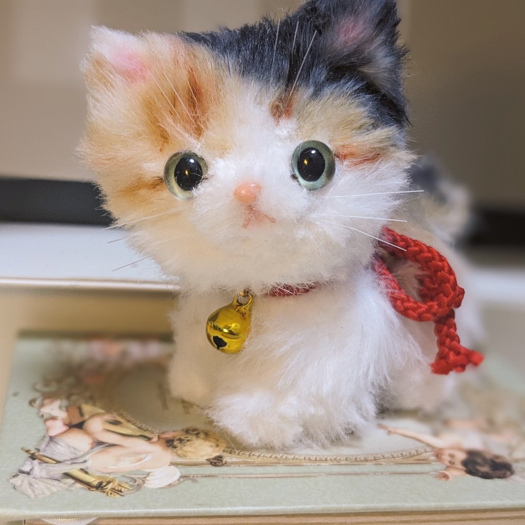 みけねこ