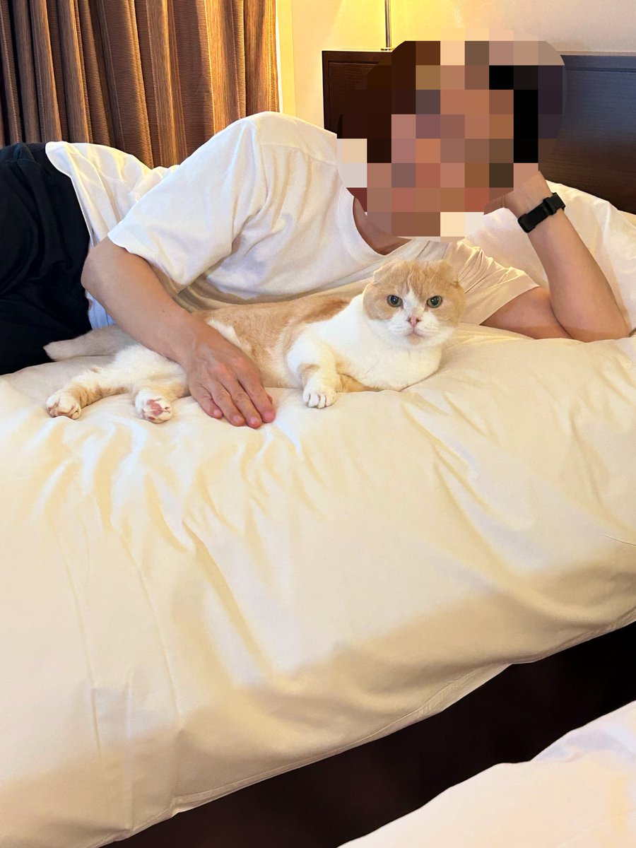 marumo130313's tweet photo. マルモを連れて泊まりでお出かけしてきました

家かと思うほど寛いでた🤣 https://t.co/bBGeJrSAwt