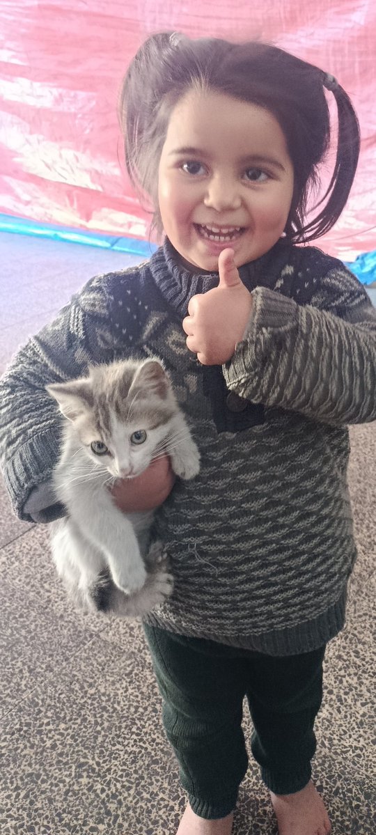 xs8bhw's tweet photo. Please don't scroll past. Every share or donation can make a real difference for my family. Your kindness gives us hope. Thank you, and may God bless you always. ❤️🙏https://t.co/hu3ONTrP4V🙏🙏 https://t.co/CtI1cQzqfg