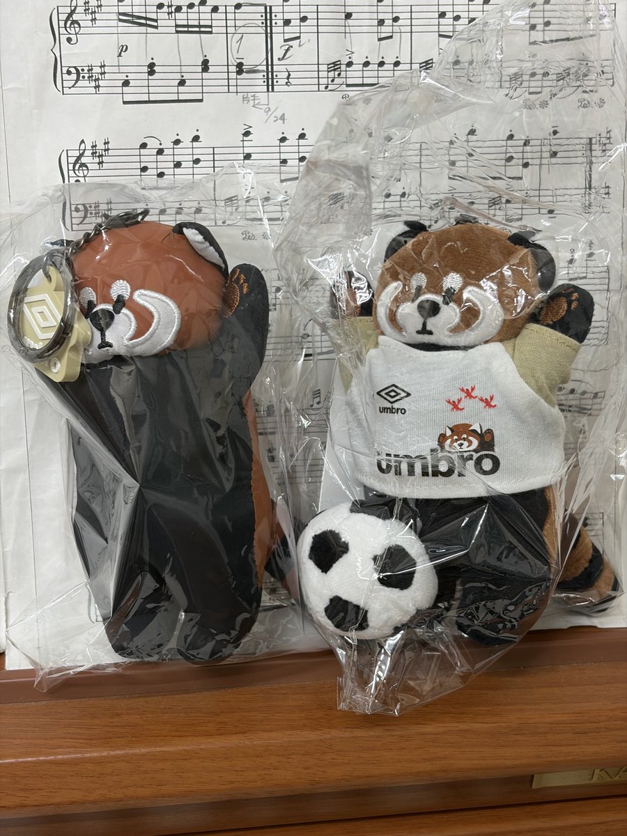 lovegt3's tweet photo. レッサーパンダ！ https://t.co/orjWTBTM1y
