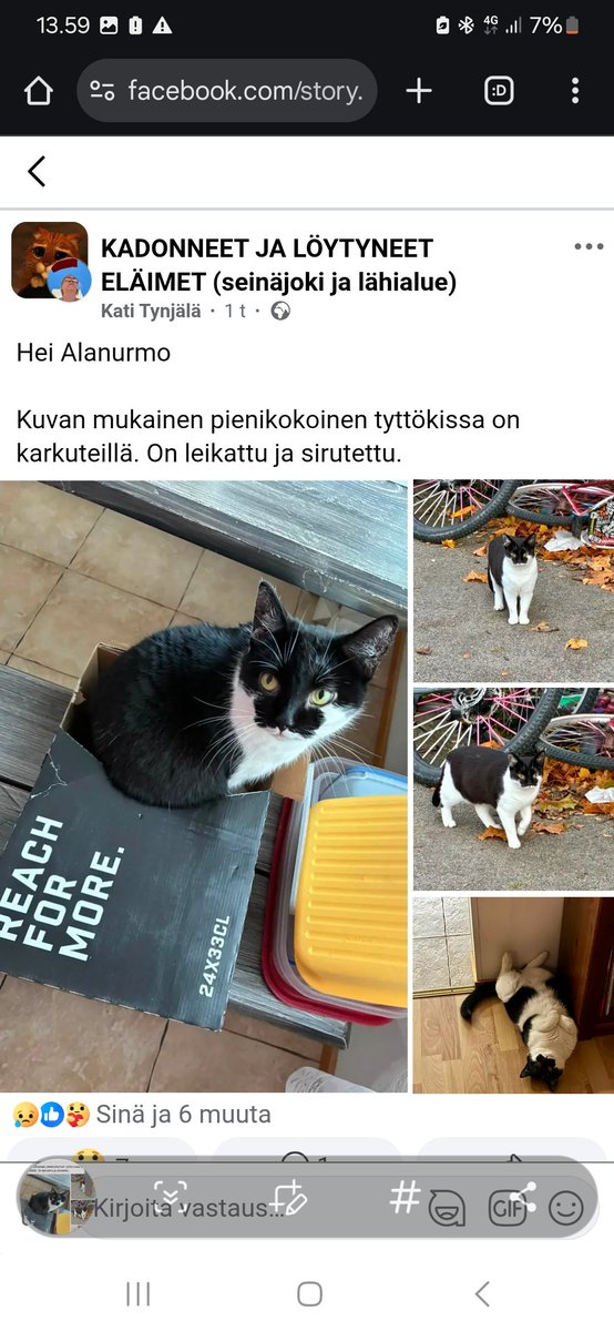 JP_Latti's tweet photo. #Alanurmo #Nurmo #Seinäjoki : Kadonnut / karannut kissa https://t.co/FFxcBFWCjt