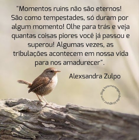 Mensagemdodia's tweet photo. https://t.co/JIBuGXrJU0 https://t.co/gCRpNZ5cvW