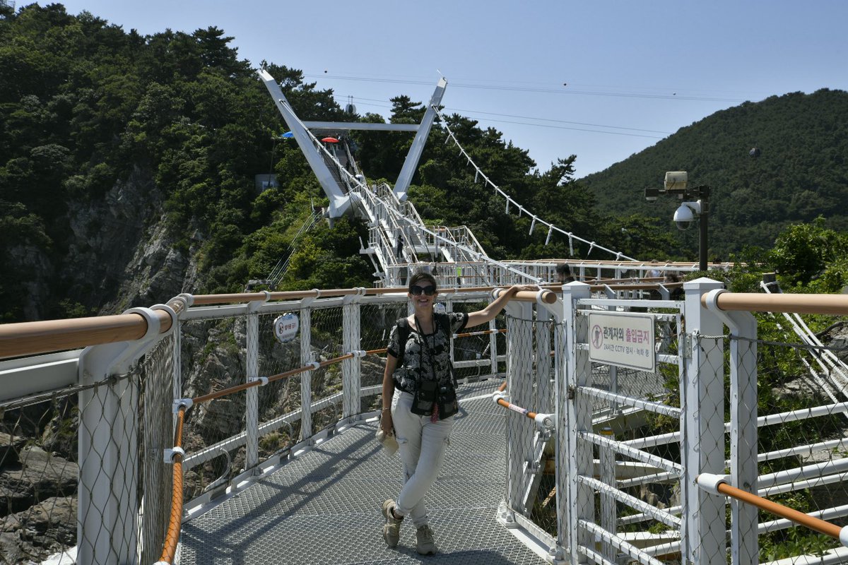 mireia_nadal's tweet photo. Looking at #Busan from the sky with the air cruise &amp; from the #BusanTower 
Even it was a hot day, it was worth it, walking through the suspension bridge https://t.co/tzcXkJLPku