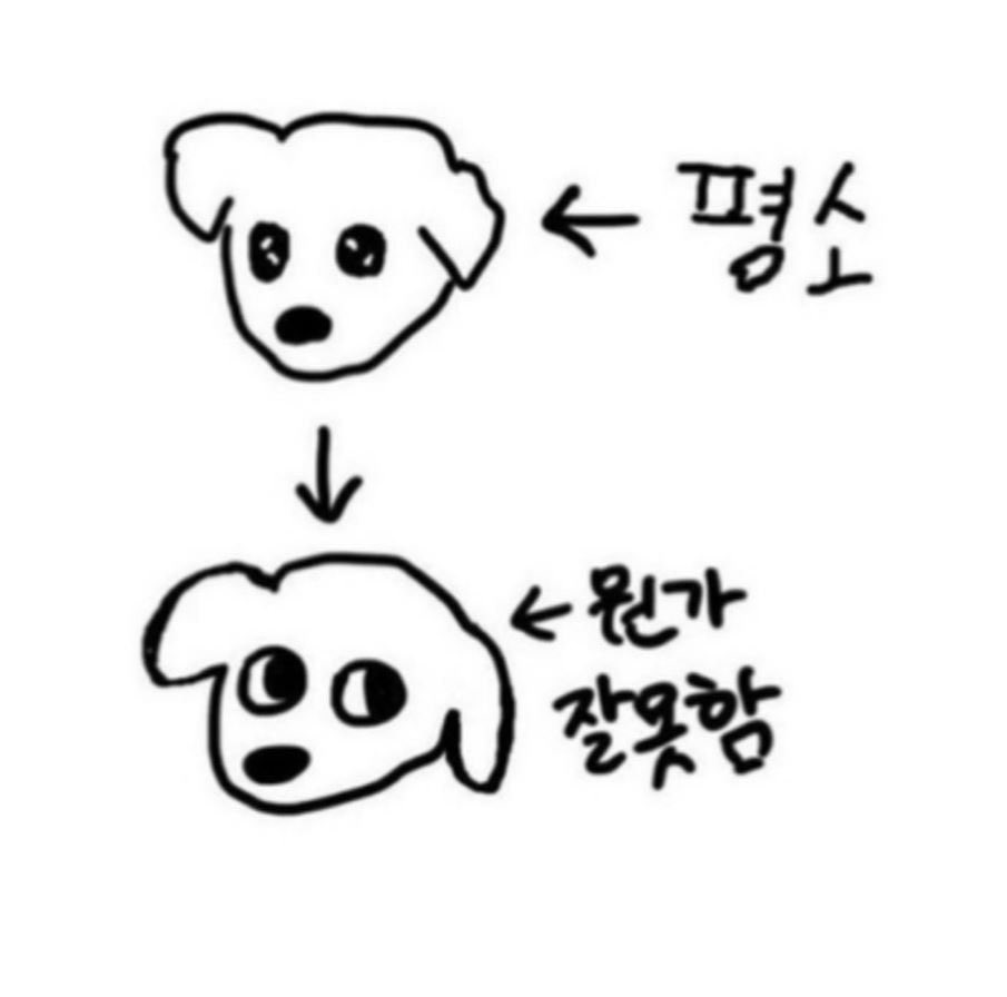 dune0927's tweet photo. 강아디 https://t.co/WeEGI07xgl